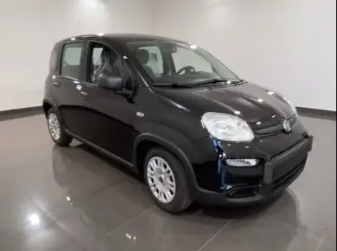 Used FIAT PANDA Hybrid 2023 Ad 