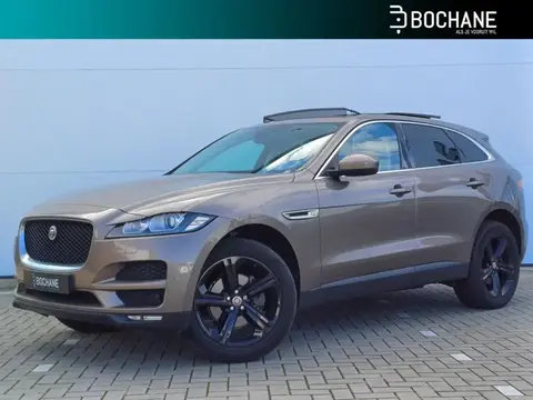 Used JAGUAR F-PACE Diesel 2016 Ad 