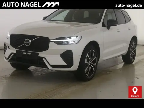 Annonce VOLVO XC60 Essence 2024 d'occasion 