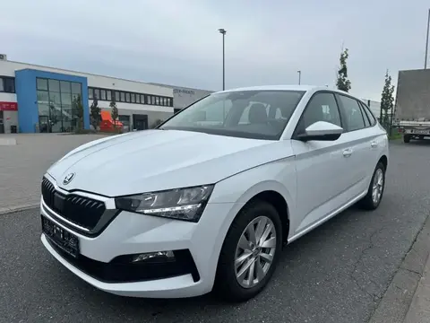 Annonce SKODA SCALA Essence 2023 d'occasion 