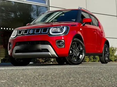 Annonce SUZUKI IGNIS Hybride 2024 d'occasion 