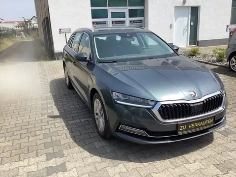 Used SKODA OCTAVIA Diesel 2020 Ad 