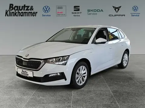 Used SKODA SCALA Petrol 2023 Ad 