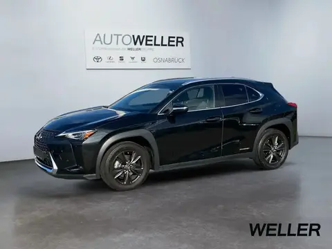 Used LEXUS UX Hybrid 2020 Ad 