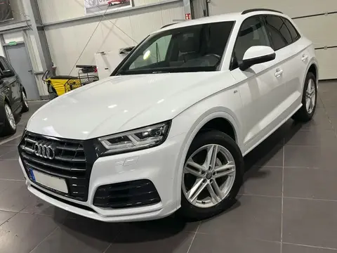 Used AUDI Q5 Diesel 2020 Ad 