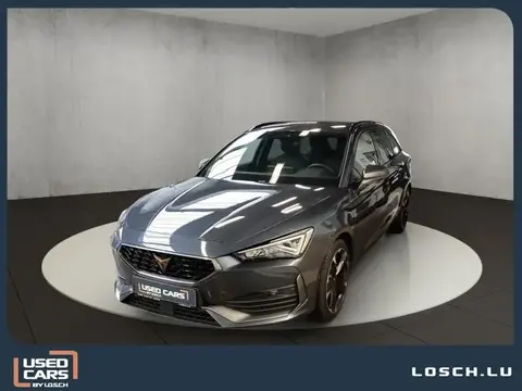 Annonce CUPRA LEON Essence 2024 d'occasion 