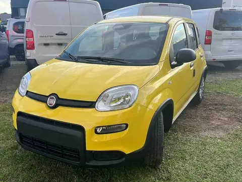 Annonce FIAT PANDA Essence 2024 d'occasion 