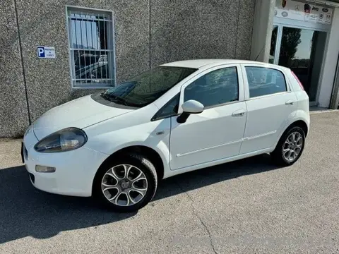 Annonce FIAT PUNTO  2016 d'occasion 