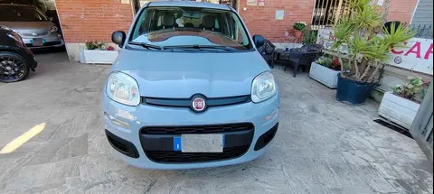 Annonce FIAT PANDA Essence 2019 d'occasion 