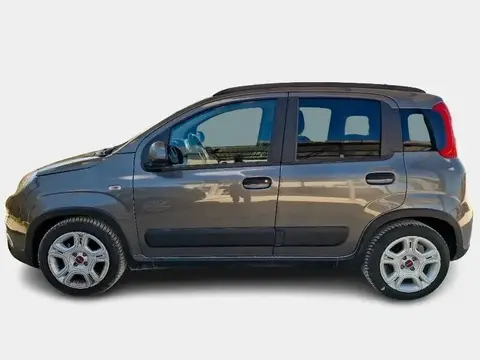 Used FIAT PANDA Hybrid 2023 Ad 