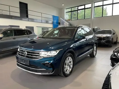 Used VOLKSWAGEN TIGUAN Diesel 2021 Ad 