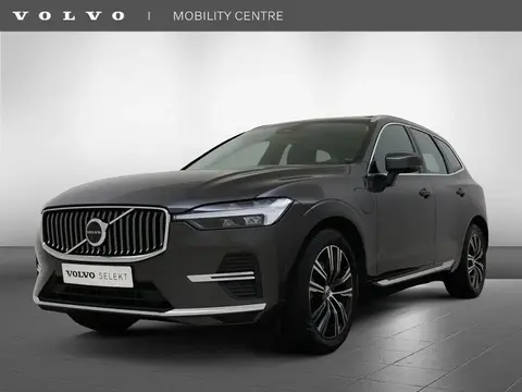 Used VOLVO XC60 Hybrid 2022 Ad 