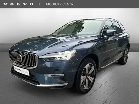 Annonce VOLVO XC60 Hybride 2023 d'occasion 