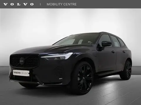 Annonce VOLVO XC60 Hybride 2024 d'occasion 