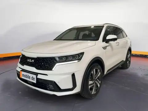 Annonce KIA SORENTO Essence 2024 d'occasion 