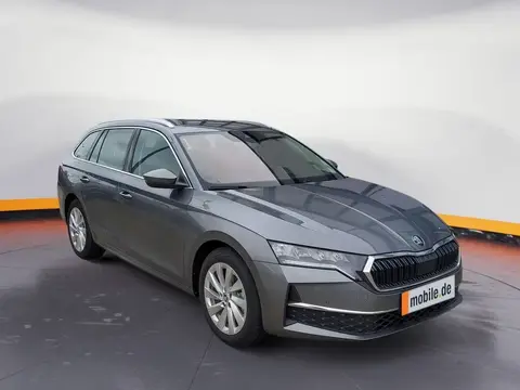 Annonce SKODA OCTAVIA Essence 2024 d'occasion 