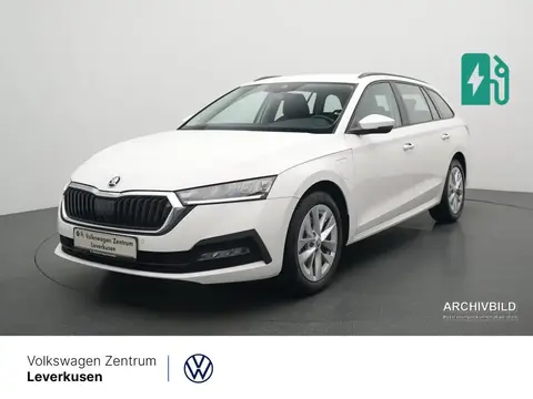 Used SKODA OCTAVIA Petrol 2022 Ad 