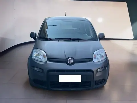 Annonce FIAT PANDA Hybride 2021 d'occasion 