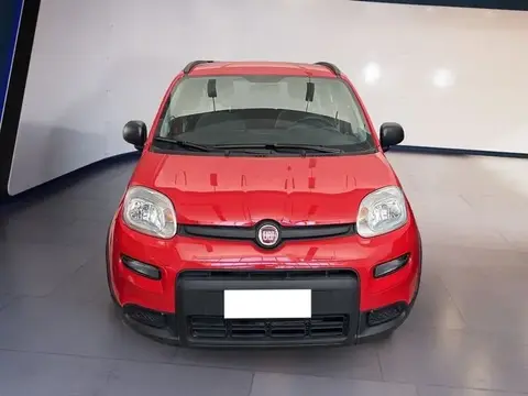 Annonce FIAT PANDA Hybride 2021 d'occasion 