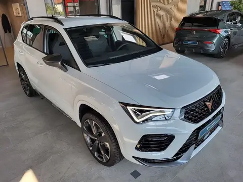 Used CUPRA ATECA Petrol 2024 Ad 