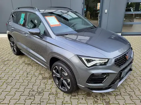 Used CUPRA ATECA Petrol 2024 Ad 