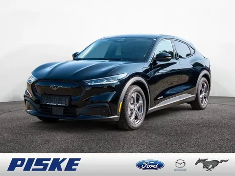 Used FORD MUSTANG Not specified 2022 Ad 