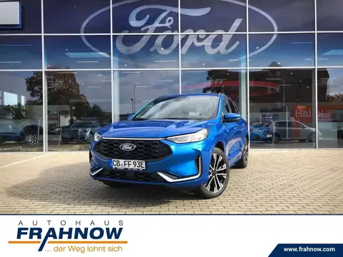 Annonce FORD KUGA Hybride 2024 d'occasion 