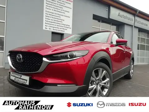 Used MAZDA CX-30 Petrol 2022 Ad 