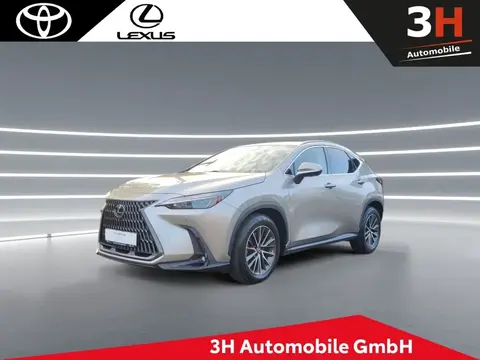 Annonce LEXUS NX Hybride 2022 d'occasion 