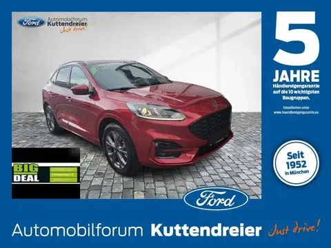 Used FORD KUGA Hybrid 2021 Ad 