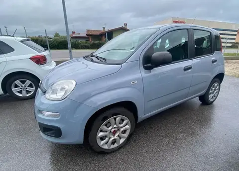 Annonce FIAT PANDA Essence 2018 d'occasion 