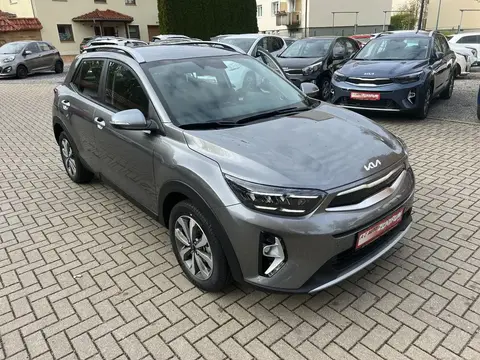 Annonce KIA STONIC Essence 2024 d'occasion 