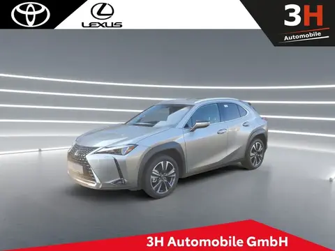 Used LEXUS UX Hybrid 2023 Ad 