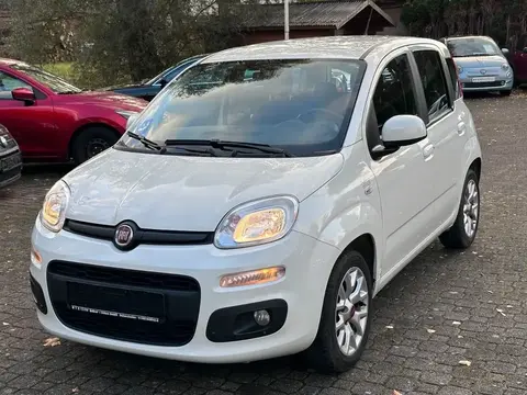 Used FIAT PANDA Petrol 2017 Ad 