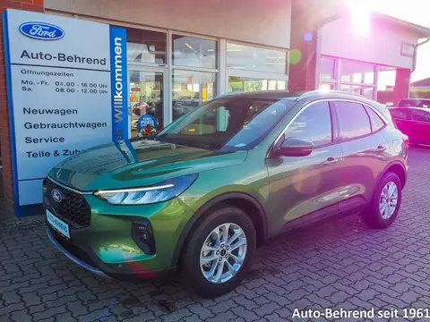 Annonce FORD KUGA Essence 2024 d'occasion 