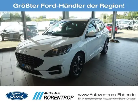 Used FORD KUGA Diesel 2024 Ad 