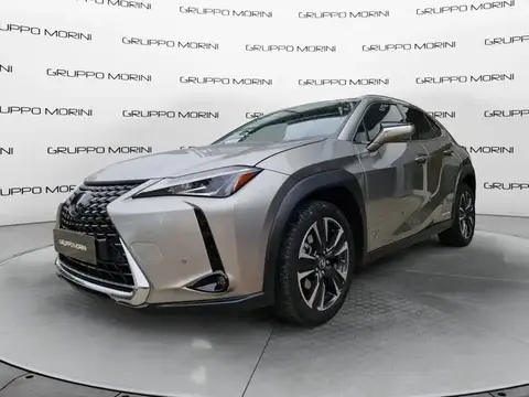 Used LEXUS UX Hybrid 2020 Ad 