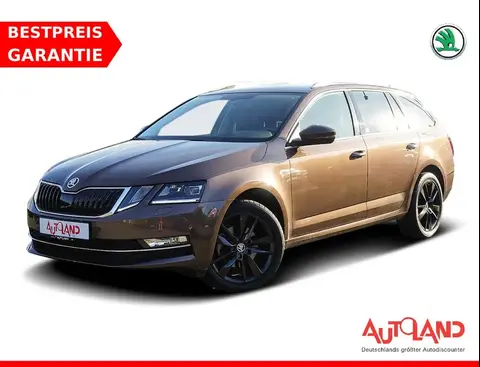 Annonce SKODA OCTAVIA Essence 2020 d'occasion 