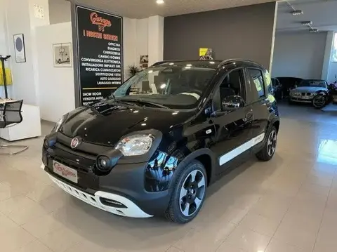 Annonce FIAT PANDA Hybride 2024 d'occasion 