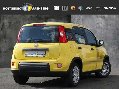 Used FIAT PANDA Petrol 2024 Ad 