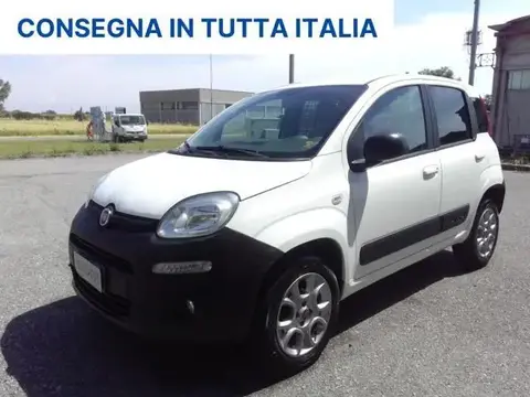 Annonce FIAT PANDA Diesel 2016 d'occasion 