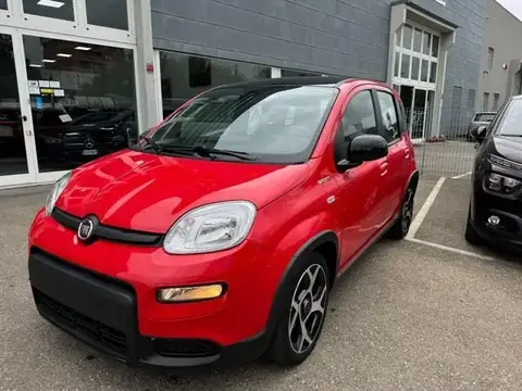 Used FIAT PANDA Hybrid 2021 Ad 