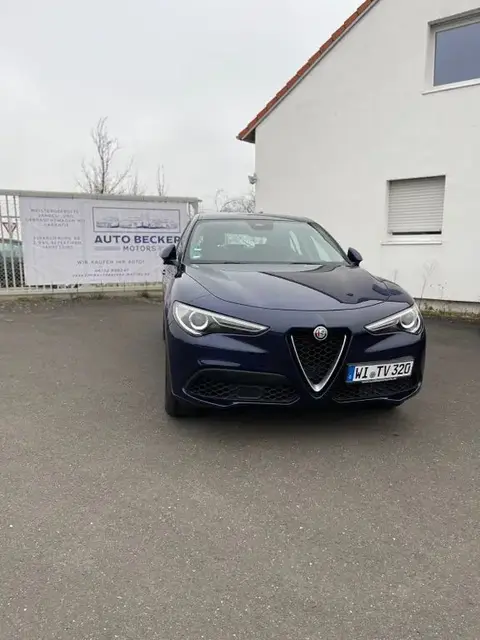 Annonce ALFA ROMEO STELVIO Diesel 2019 d'occasion 