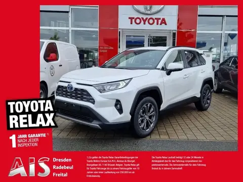 Used TOYOTA RAV4 Hybrid 2024 Ad 