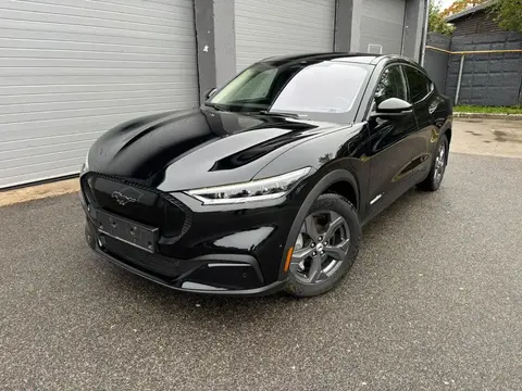 Used FORD MUSTANG Not specified 2022 Ad 