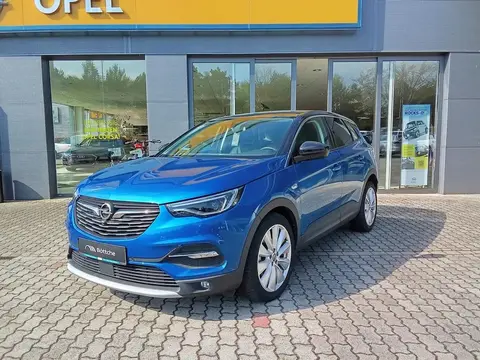 Annonce OPEL GRANDLAND Essence 2021 d'occasion 