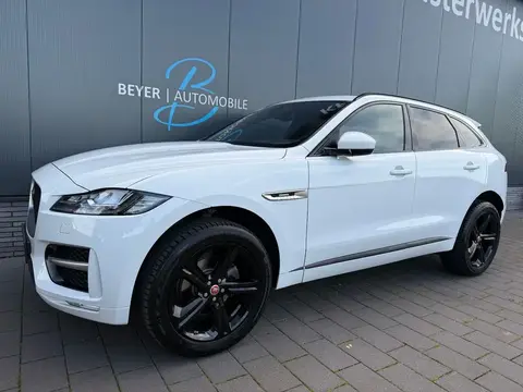 Used JAGUAR F-PACE Diesel 2017 Ad 