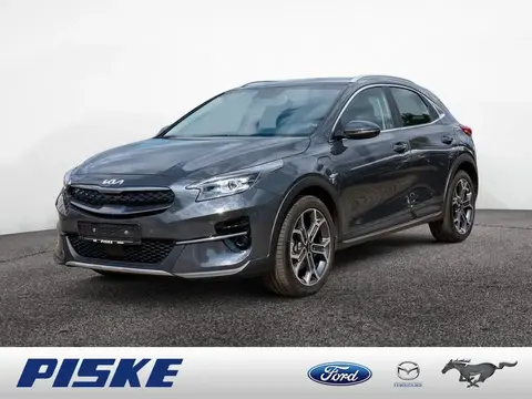 Used KIA XCEED Hybrid 2022 Ad 