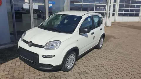 Used FIAT PANDA Petrol 2024 Ad 