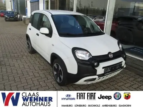 Used FIAT PANDA Hybrid 2023 Ad 